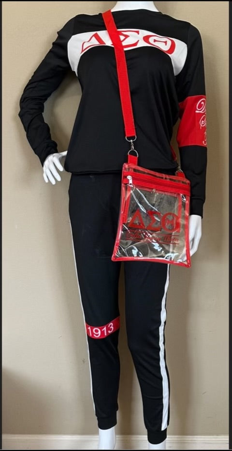 Delta Sigma Theta Crossbody Bag