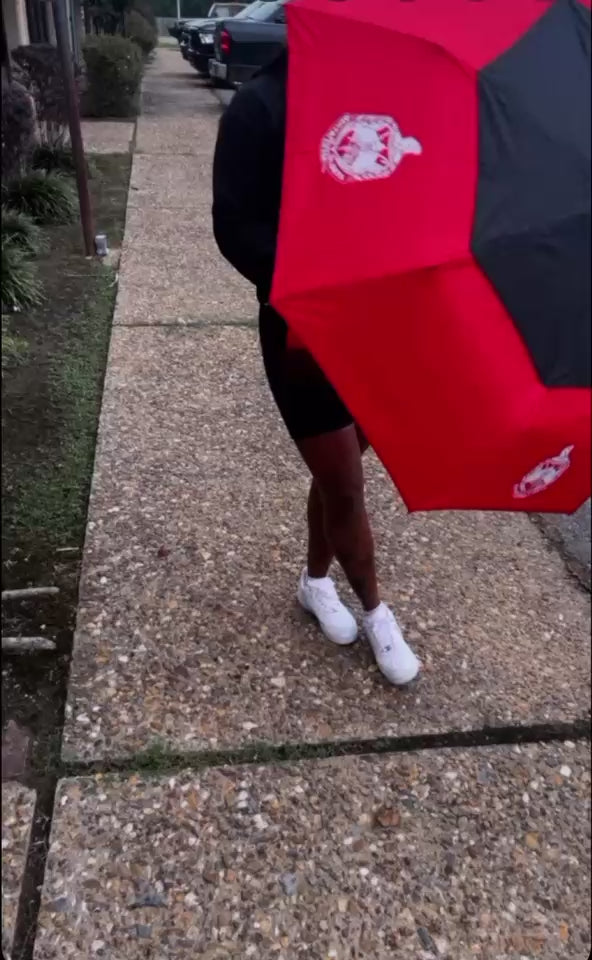 Delta Sigma Theta Beanie & Scarf Set